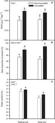 Impact of Plant Growth Promoting Bacteria on Salicornia ramosissima Ecophysiology and Heavy Metal Phytoremediation Capacity in Estuarine Soils